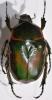 254984 – Photo : Christian Berquer – Madagascar